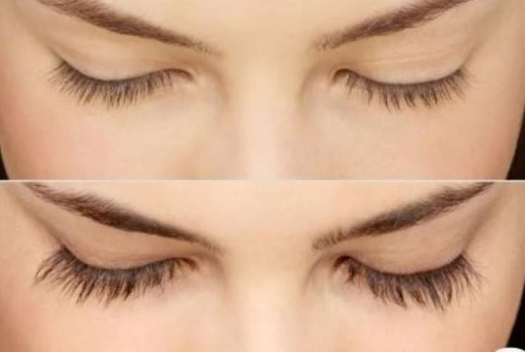 J.DENIS PLUS LASHES
